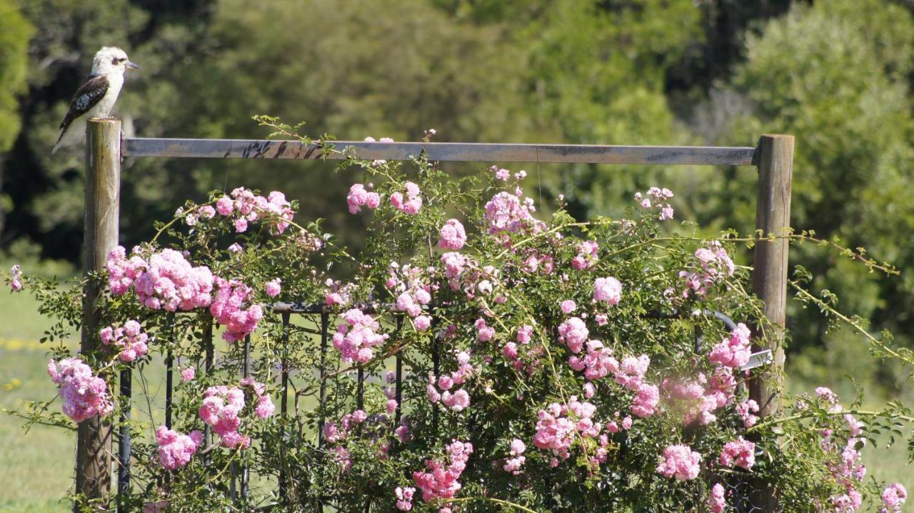 La Dolce Vita Beechmont Eksteriør bilde